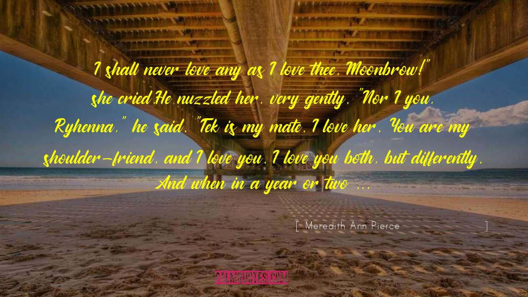 Meredith Ann Pierce Quotes: I shall never love any