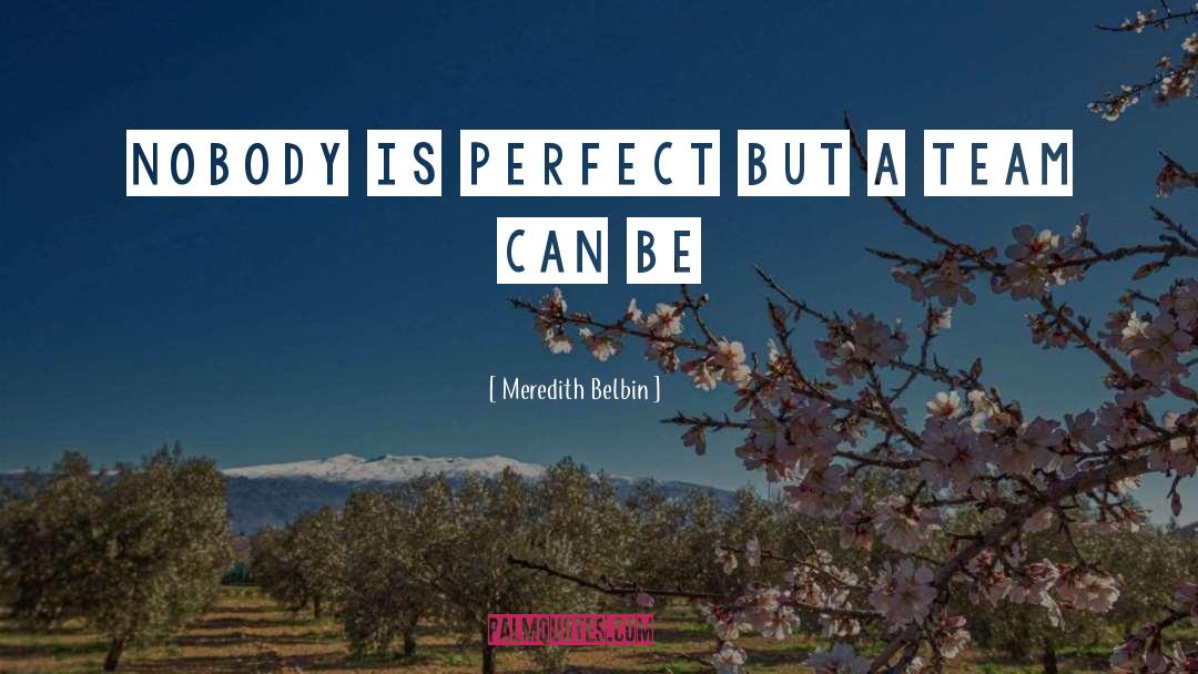 Meredith Belbin Quotes: Nobody is perfect but a