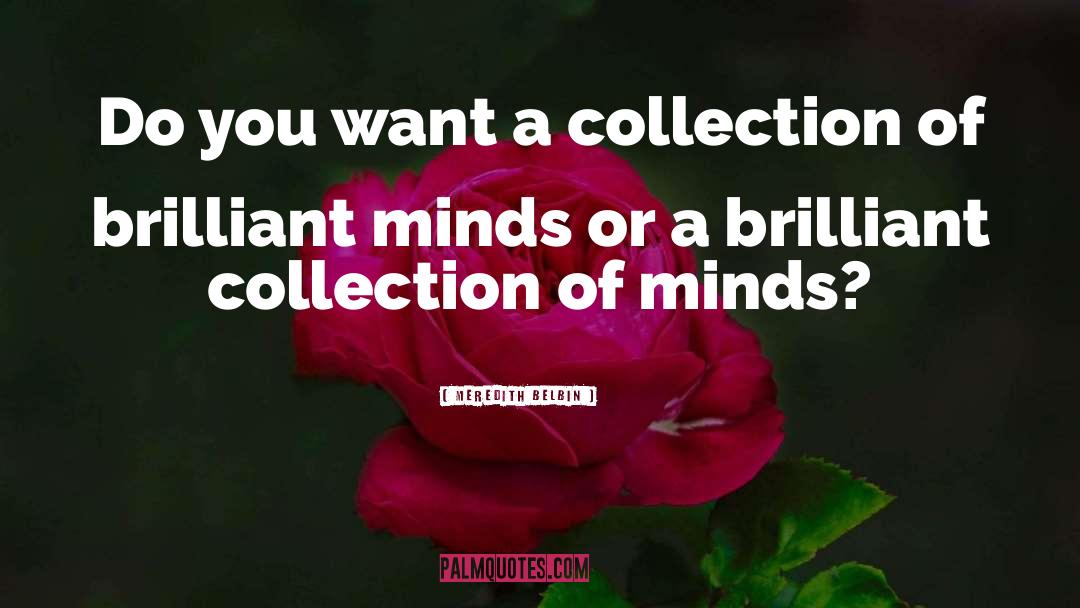 Meredith Belbin Quotes: Do you want a collection