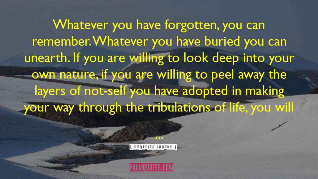 Meredith Jordan Quotes: Whatever you have forgotten, you