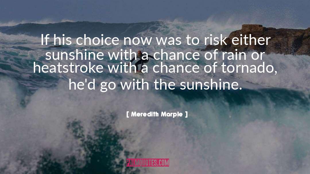 Meredith Marple Quotes: If his choice now was