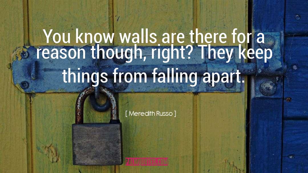 Meredith Russo Quotes: You know walls are there