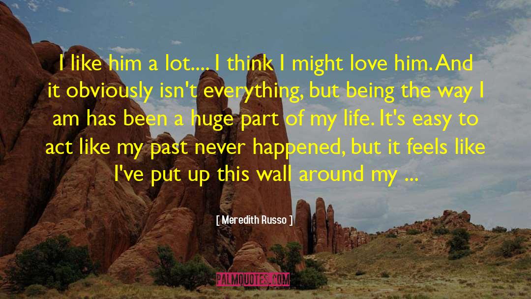Meredith Russo Quotes: I like him a lot....