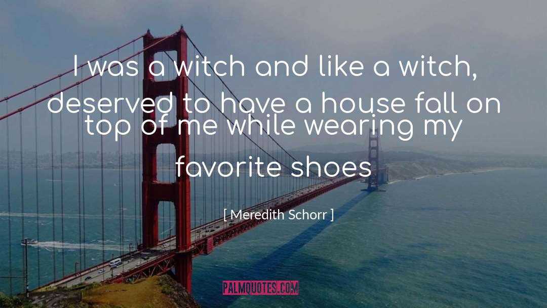 Meredith Schorr Quotes: I was a witch and