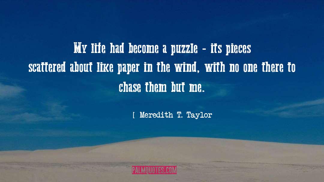 Meredith T. Taylor Quotes: My life had become a