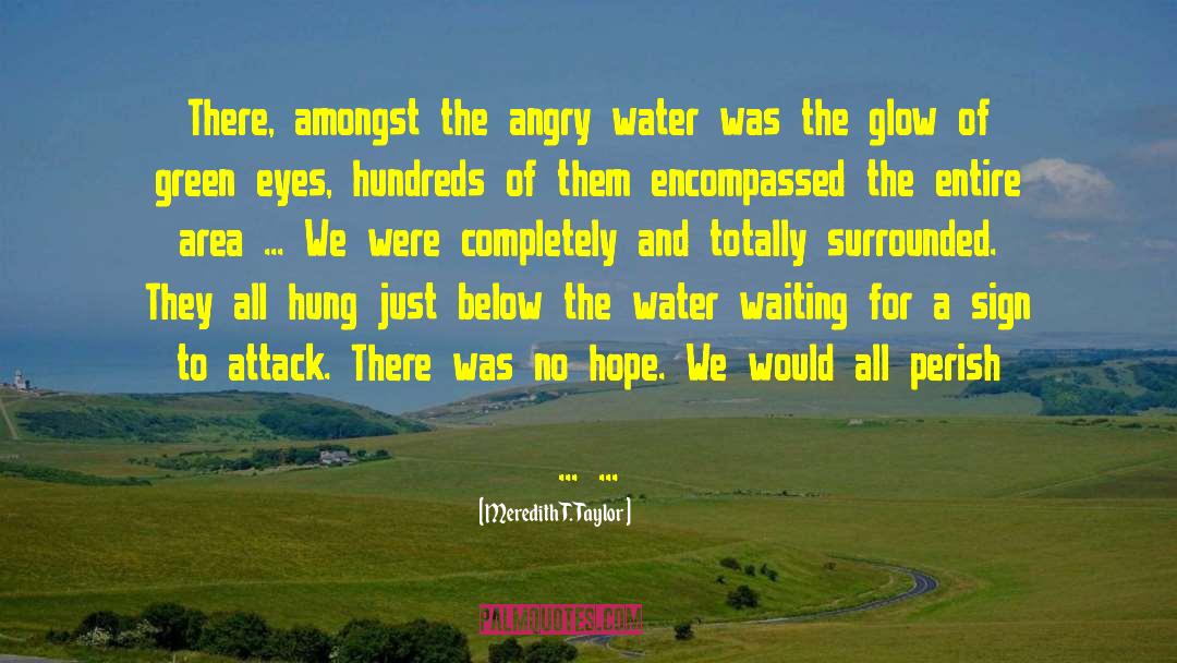 Meredith T. Taylor Quotes: There, amongst the angry water