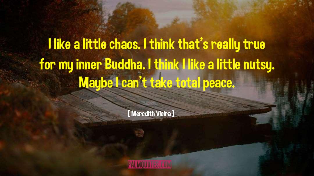 Meredith Vieira Quotes: I like a little chaos.