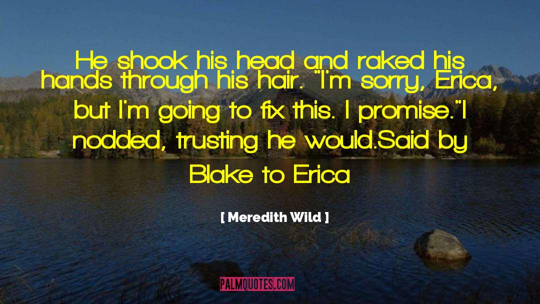 Meredith Wild Quotes: He shook his head and