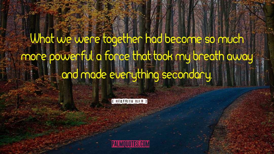 Meredith Wild Quotes: What we were together had