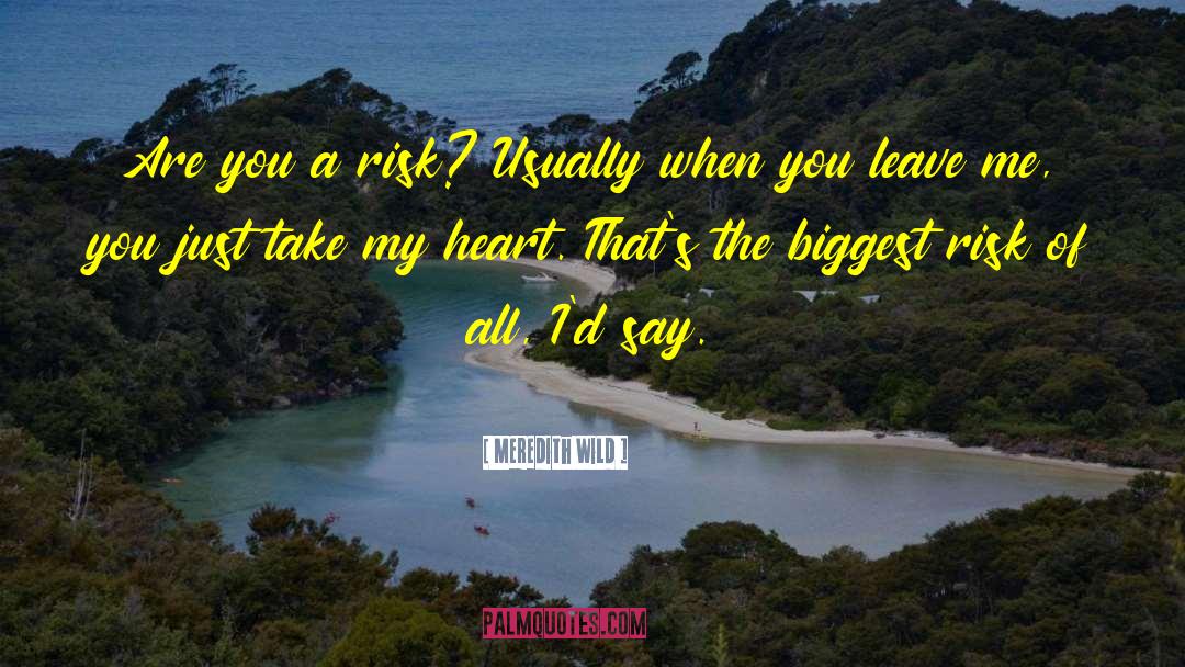 Meredith Wild Quotes: Are you a risk? Usually