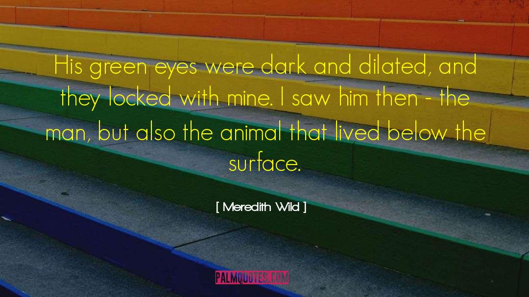 Meredith Wild Quotes: His green eyes were dark
