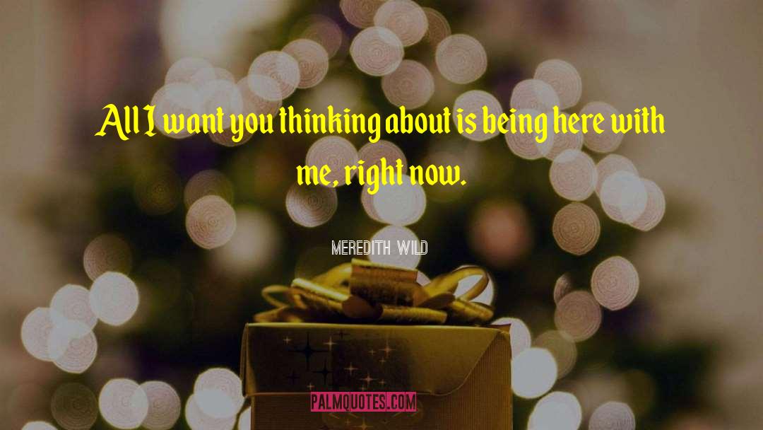 Meredith Wild Quotes: All I want you thinking