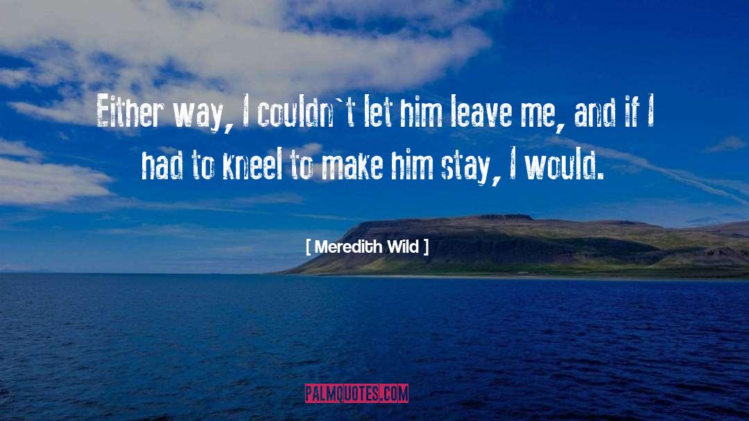 Meredith Wild Quotes: Either way, I couldn't let
