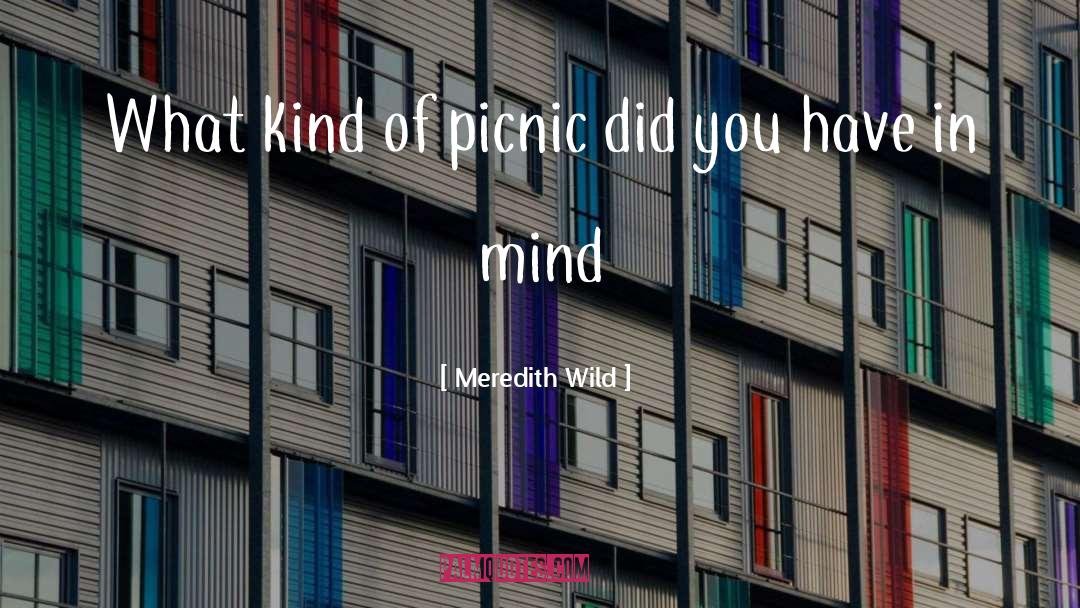 Meredith Wild Quotes: What kind of picnic did
