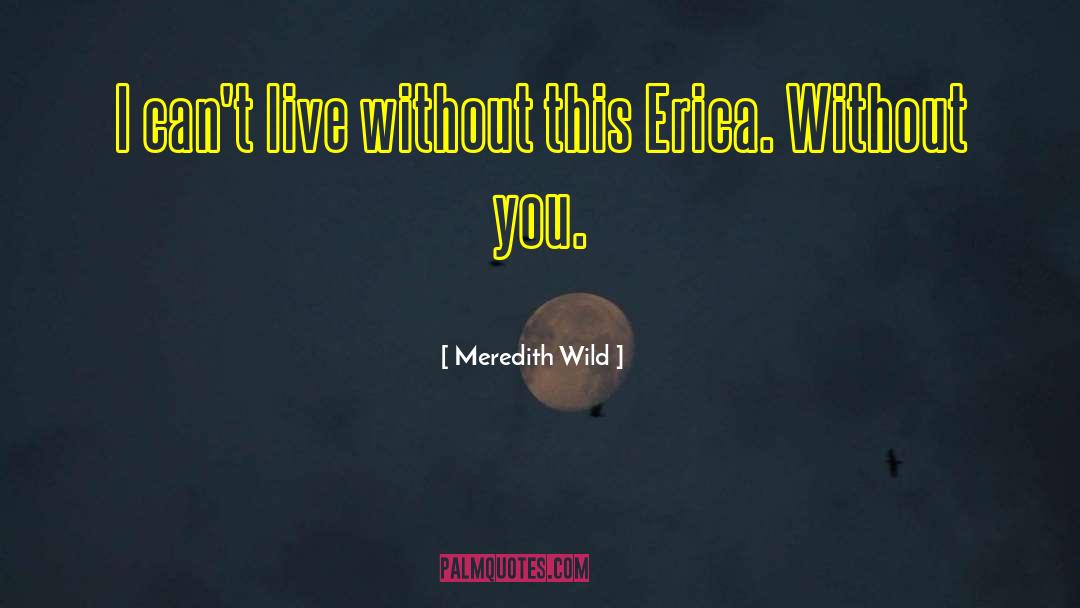Meredith Wild Quotes: I can't live without this