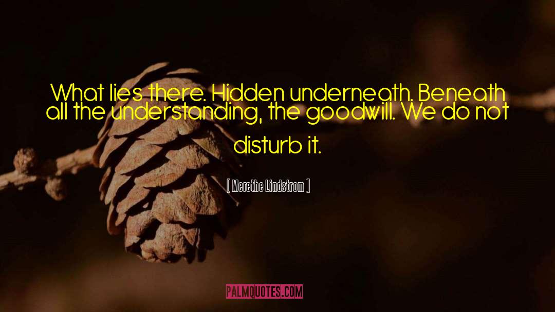 Merethe Lindstrom Quotes: What lies there. Hidden underneath.