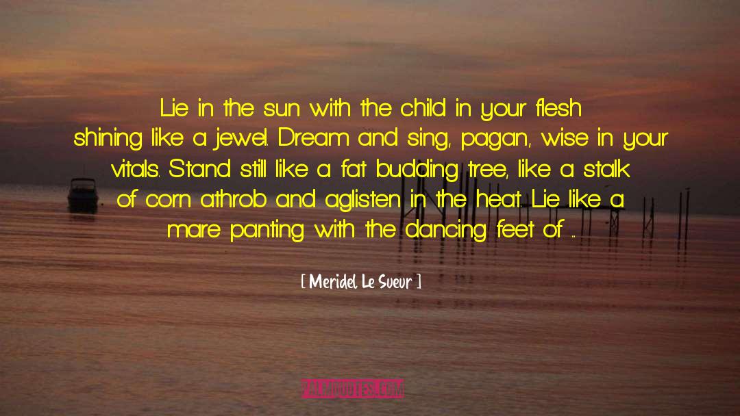 Meridel Le Sueur Quotes: Lie in the sun with