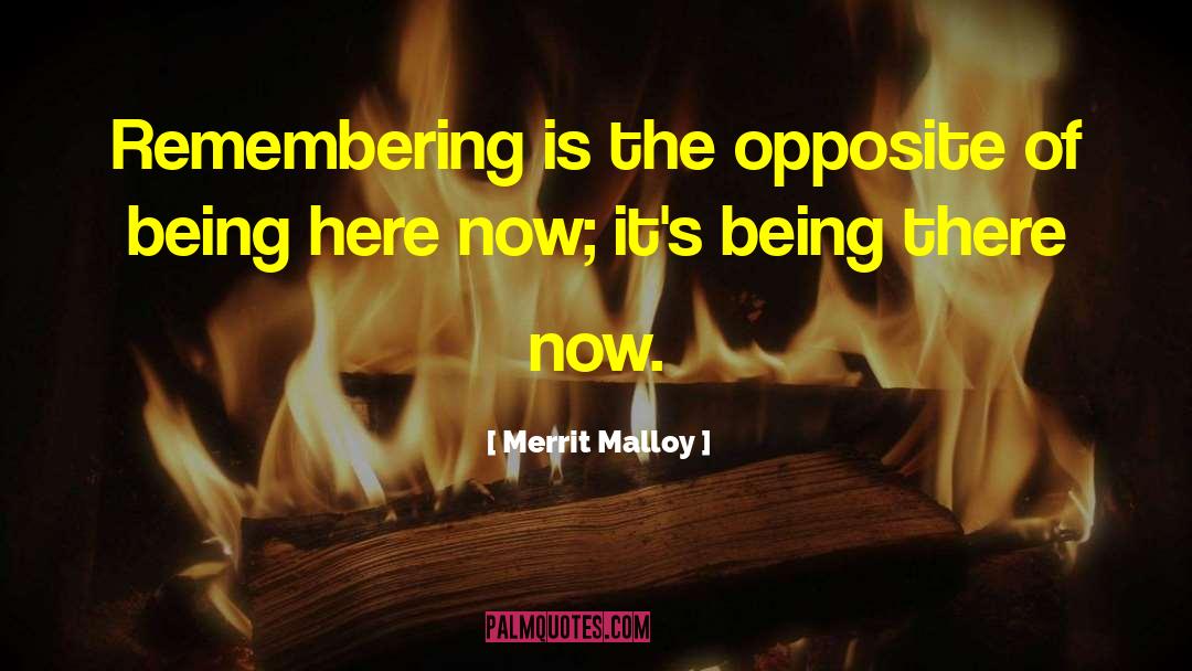 Merrit Malloy Quotes: Remembering is the opposite of