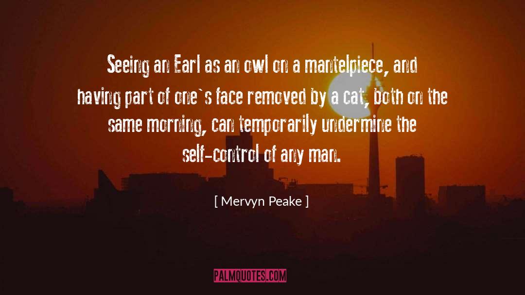 Mervyn Peake Quotes: Seeing an Earl as an