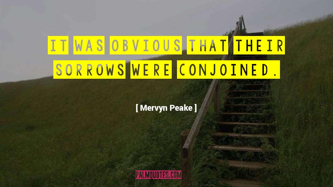 Mervyn Peake Quotes: It was obvious that their