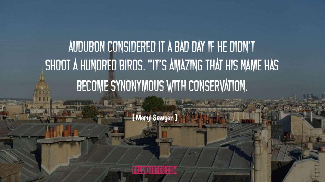 Meryl Sawyer Quotes: Audubon considered it a bad