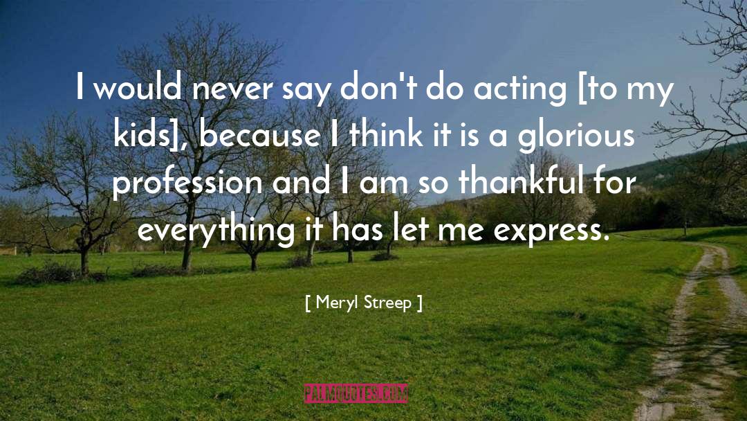 Meryl Streep Quotes: I would never say don't