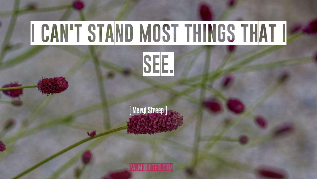 Meryl Streep Quotes: I can't stand most things