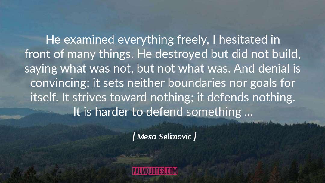 Mesa Selimovic Quotes: He examined everything freely, I