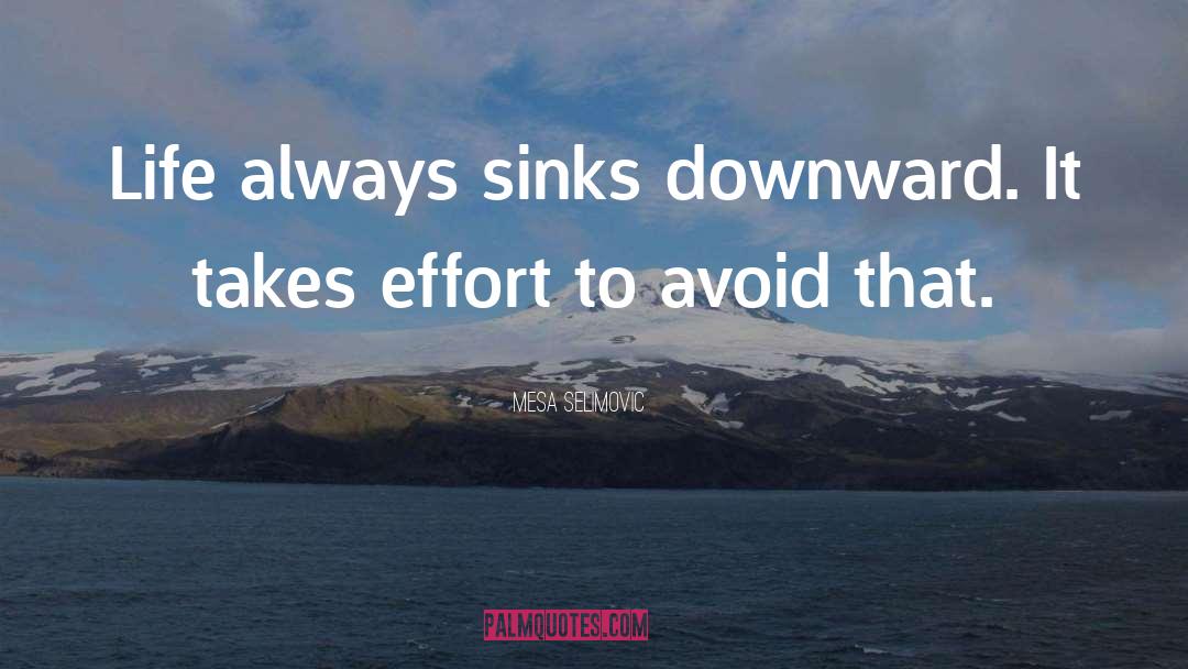 Mesa Selimovic Quotes: Life always sinks downward. It