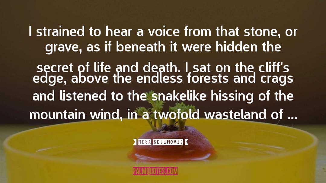 Mesa Selimovic Quotes: I strained to hear a