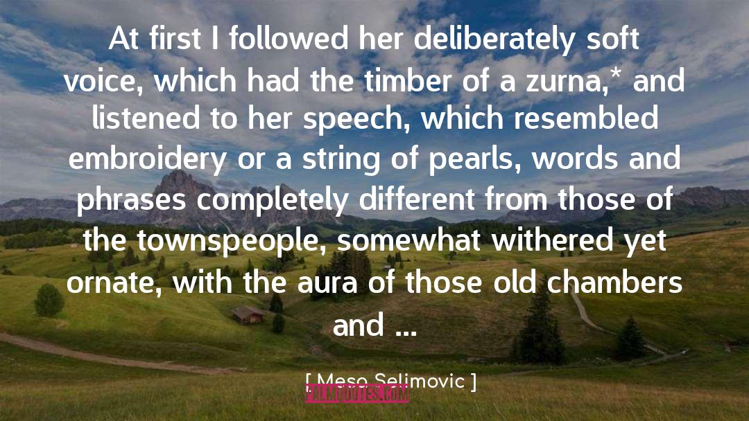 Mesa Selimovic Quotes: At first I followed her