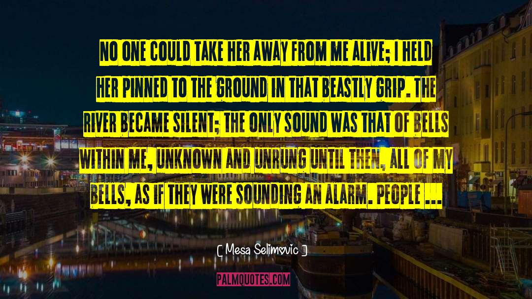 Mesa Selimovic Quotes: No one could take her