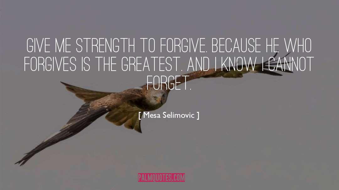 Mesa Selimovic Quotes: Give me strength to forgive.
