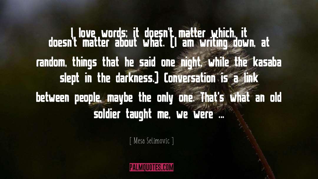 Mesa Selimovic Quotes: I love words; it doesn't