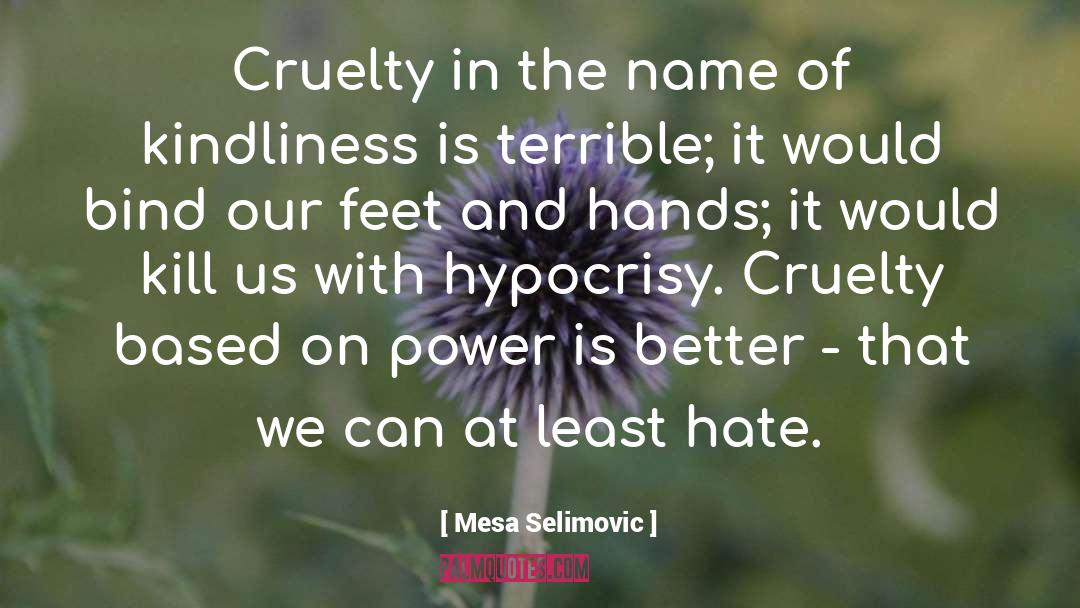 Mesa Selimovic Quotes: Cruelty in the name of