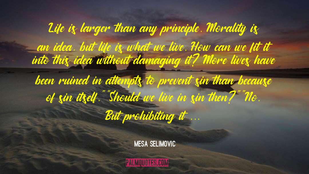 Mesa Selimovic Quotes: Life is larger than any