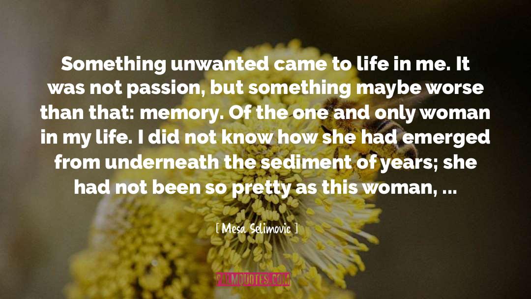 Mesa Selimovic Quotes: Something unwanted came to life
