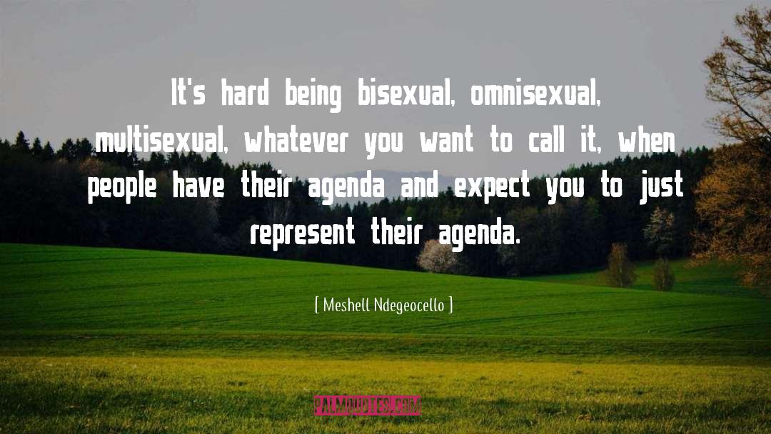 Meshell Ndegeocello Quotes: It's hard being bisexual, omnisexual,