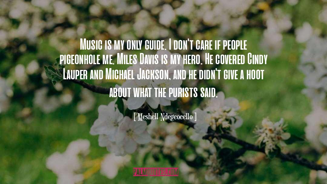 Meshell Ndegeocello Quotes: Music is my only guide.