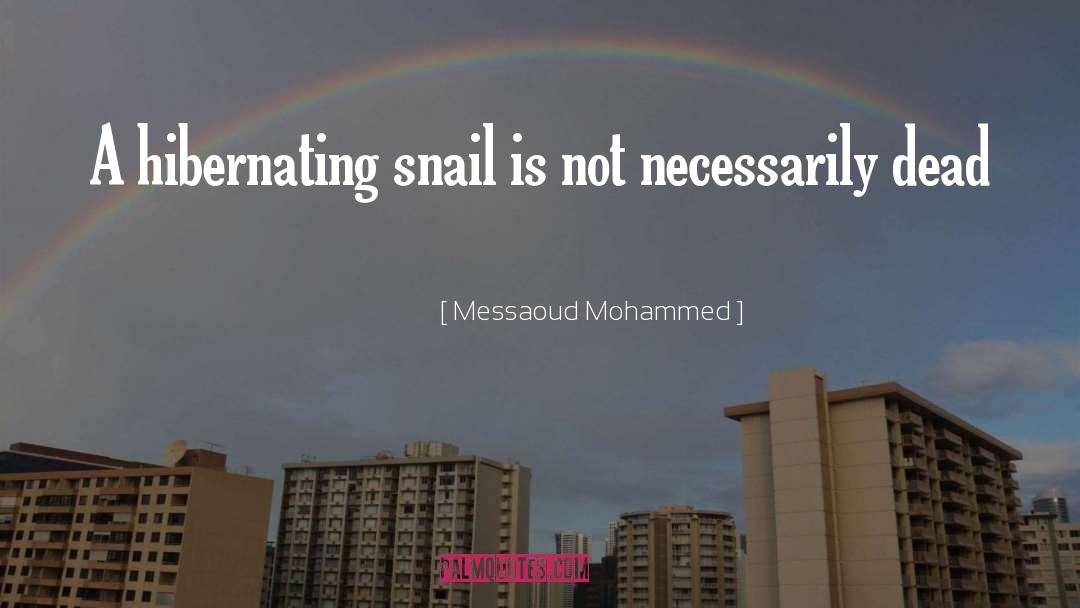 Messaoud Mohammed Quotes: A hibernating snail is not