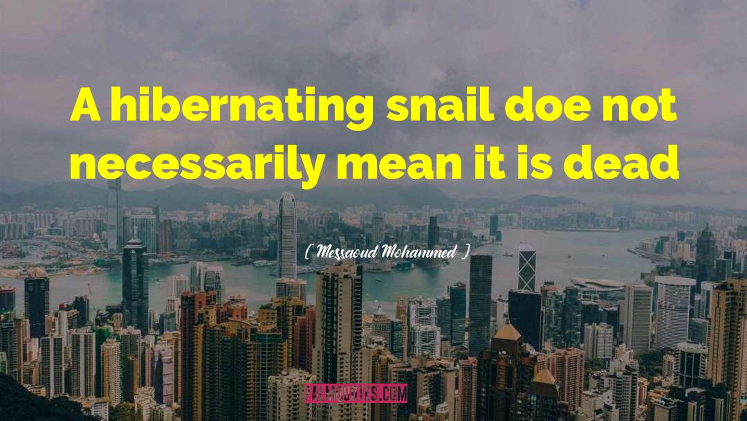 Messaoud Mohammed Quotes: A hibernating snail doe not