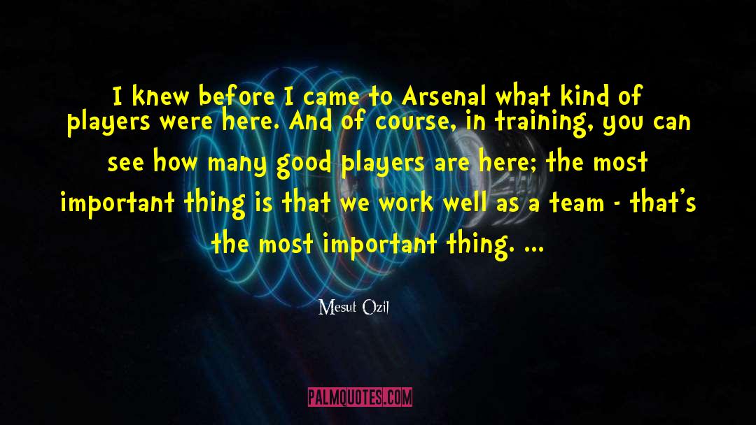 Mesut Ozil Quotes: I knew before I came