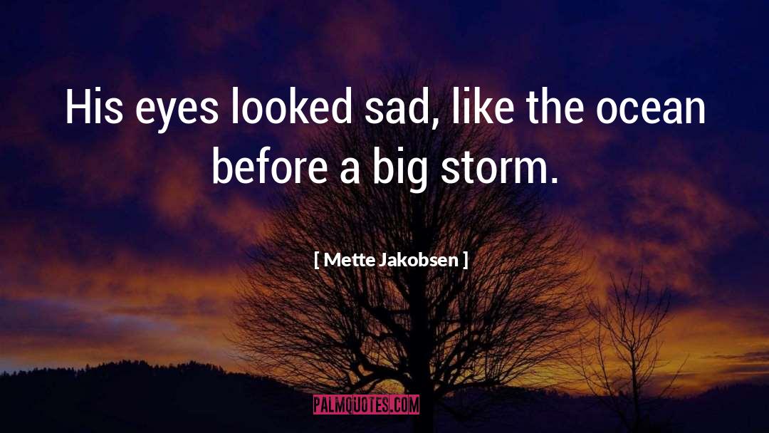 Mette Jakobsen Quotes: His eyes looked sad, like