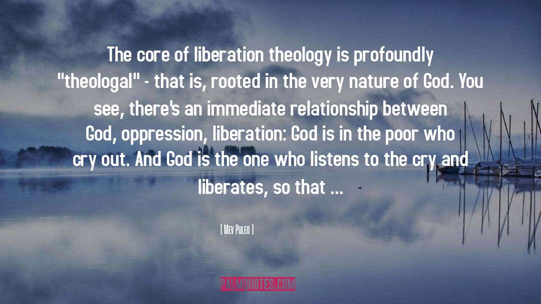 Mev Puleo Quotes: The core of liberation theology