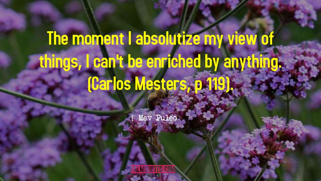 Mev Puleo Quotes: The moment I absolutize my