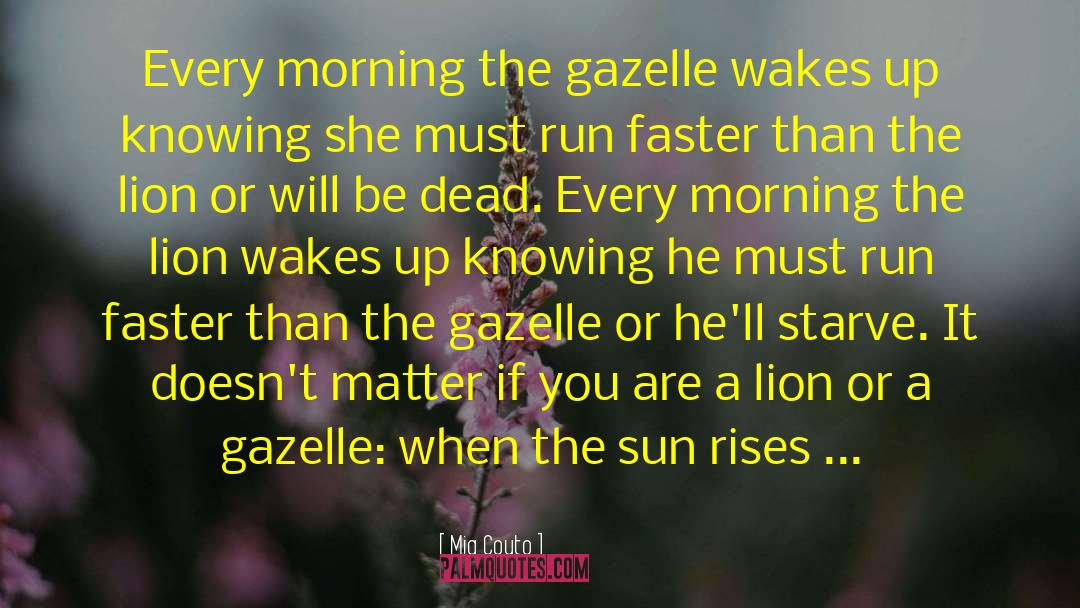 Mia Couto Quotes: Every morning the gazelle wakes