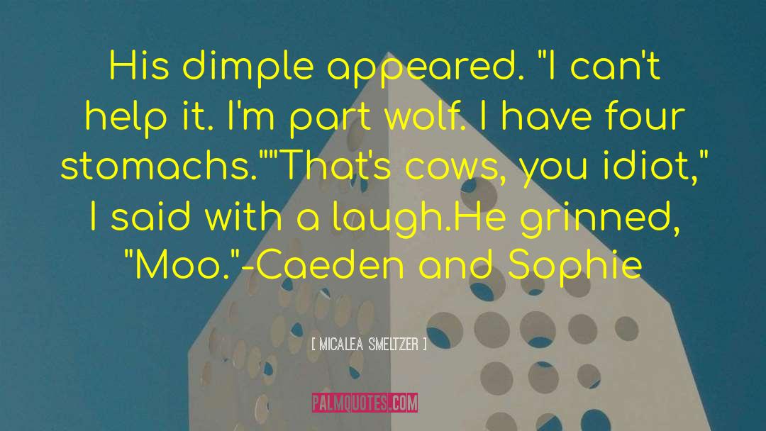 Micalea Smeltzer Quotes: His dimple appeared. 