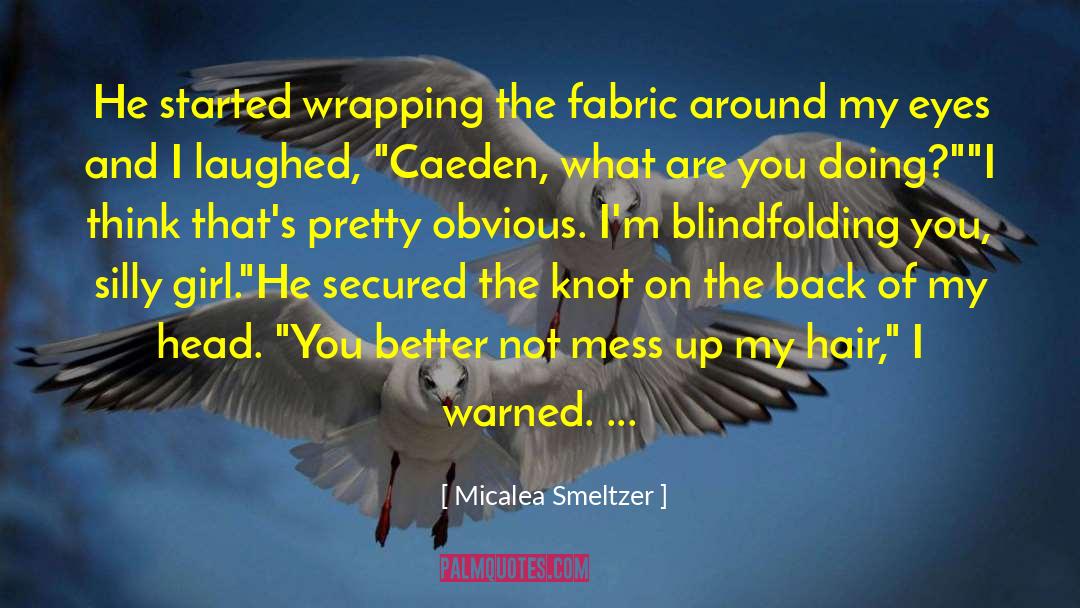 Micalea Smeltzer Quotes: He started wrapping the fabric