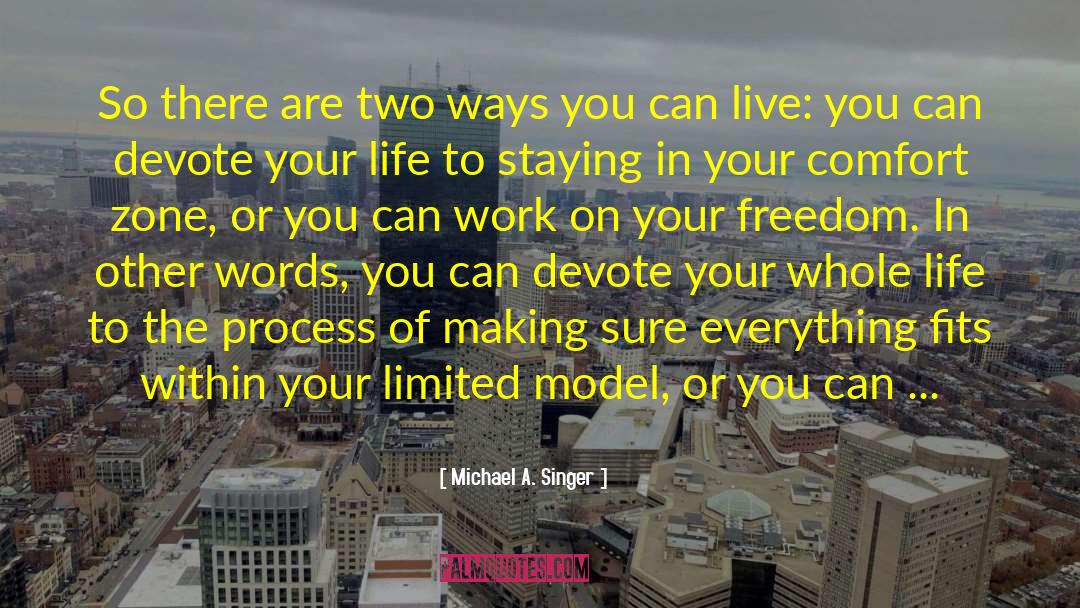 Michael A. Singer Quotes: So there are two ways
