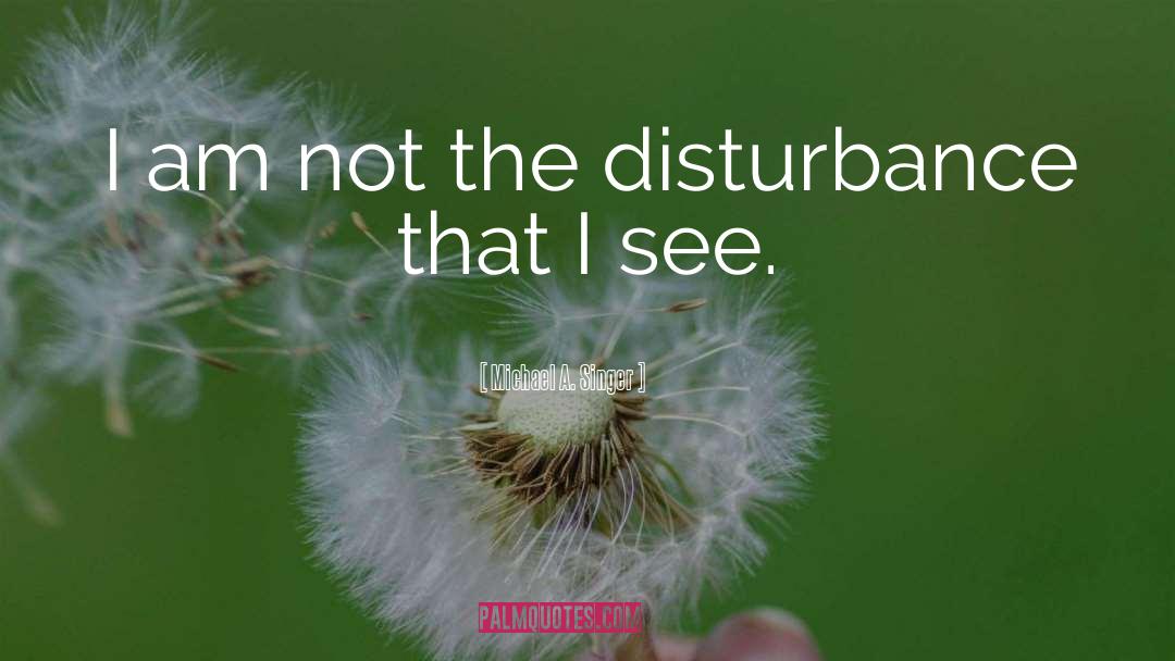Michael A. Singer Quotes: I am not the disturbance